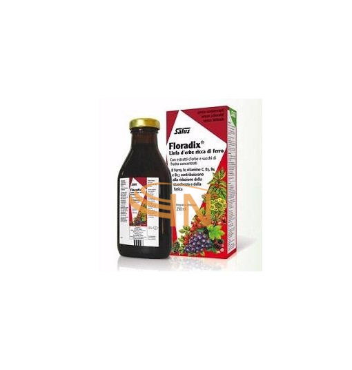 Salus Floradix Linfa D'Erbe Ricca di Ferro 250ml