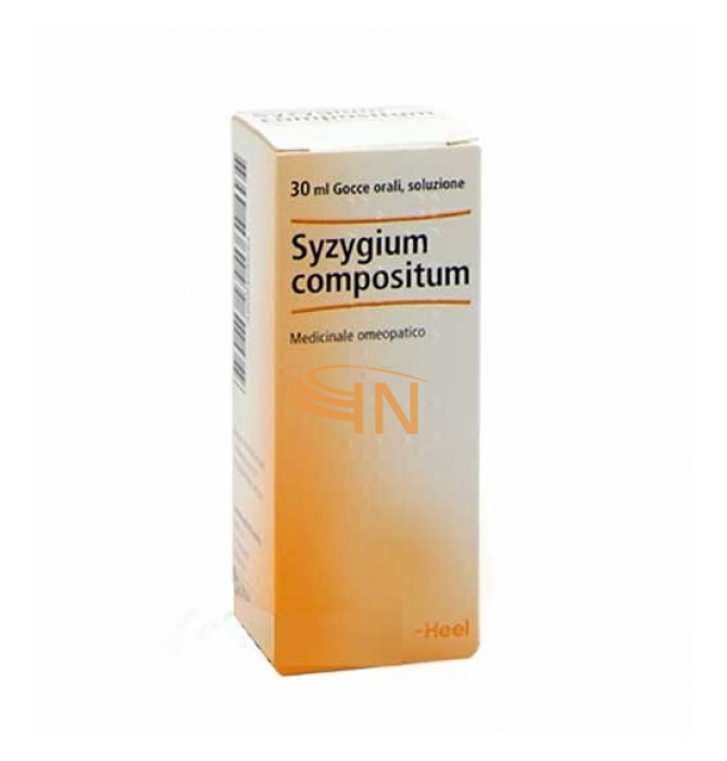 Guna Syzygium Comp 30ml Gtt Heel