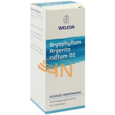 Weleda Italia Bryophyllum Argento D2 Gocce 50ml