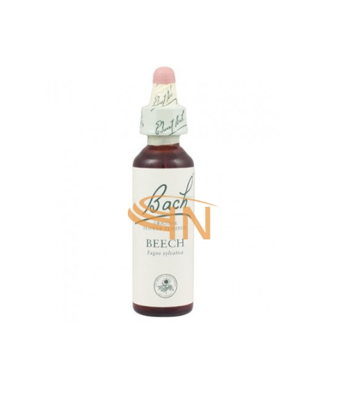 Schwabe Pharma Italia Beech Bach Orig 20 Ml