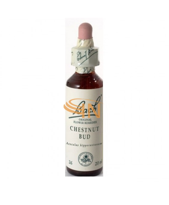 Schwabe Pharma Italia Chestnut Bud Bach Orig 20 Ml