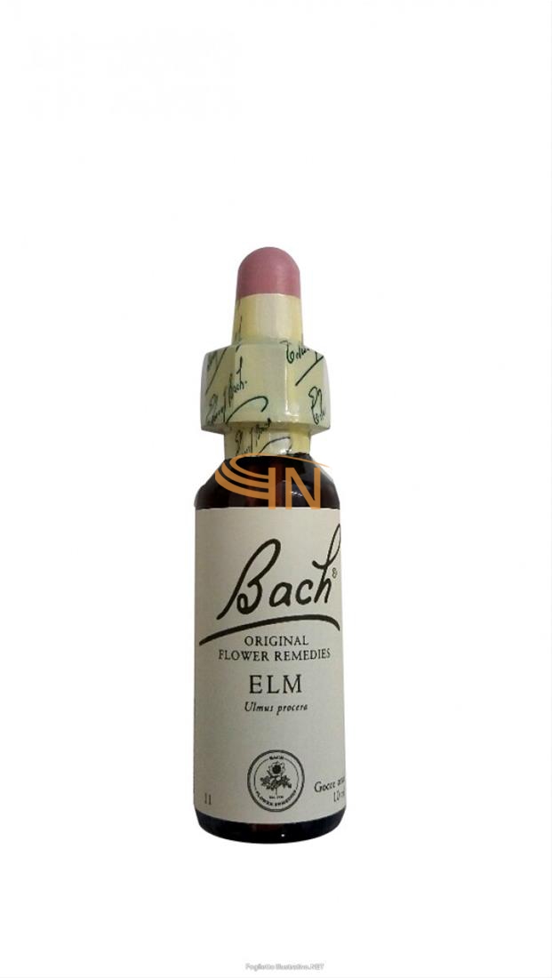 Schwabe Pharma Italia Elm Bach Orig 20 Ml