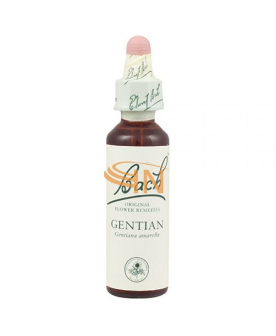 Schwabe Pharma Italia Gentian Bach Original 20 ml