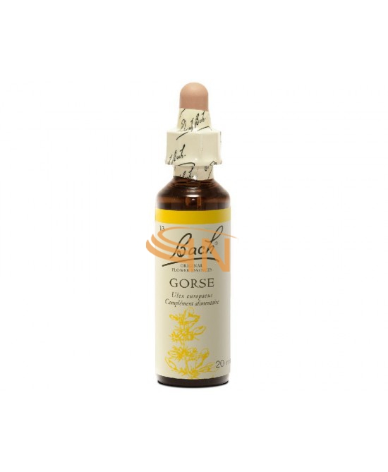 Schwabe Pharma Italia Gorse Bach Orig 20 Ml
