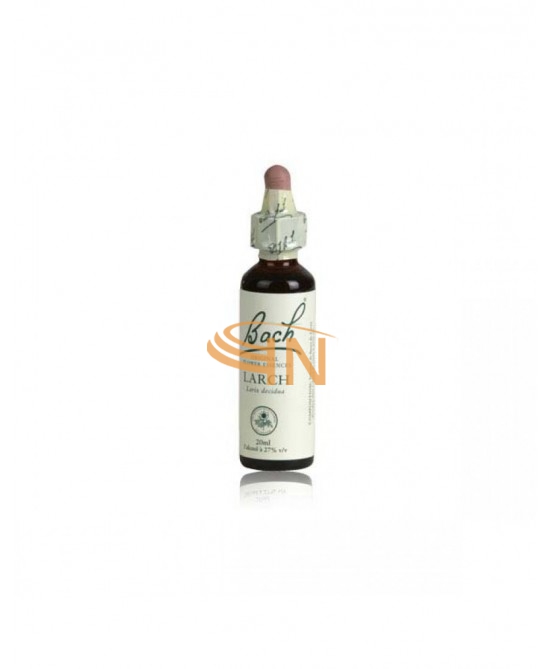Schwabe Pharma Italia Larch Bach Original 20 ml