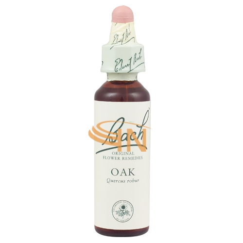 Schwabe Pharma Italia Oak Bach Original 20 ml