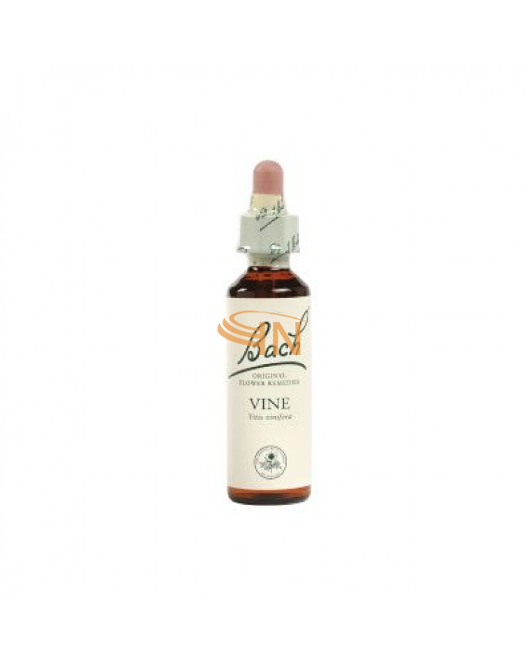 Schwabe Pharma Italia Vine Bach Original 10 ml