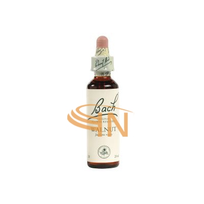 Schwabe Pharma Italia Walnut Bach Original 20 ml