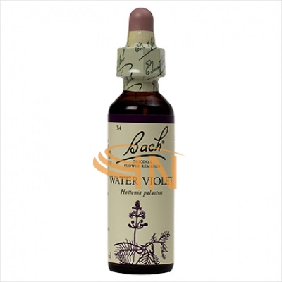 Schwabe Pharma Italia Water Viol Bach Orig 20 Ml