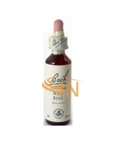 Schwabe Pharma Italia Wild Rose Bach Original 20 ml