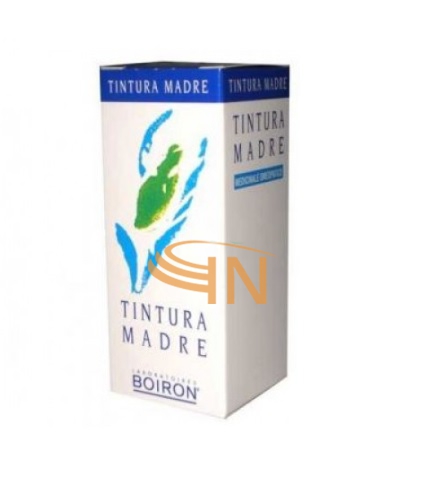 Boiron Angelica Arcangelica 60 ml Tintura madre