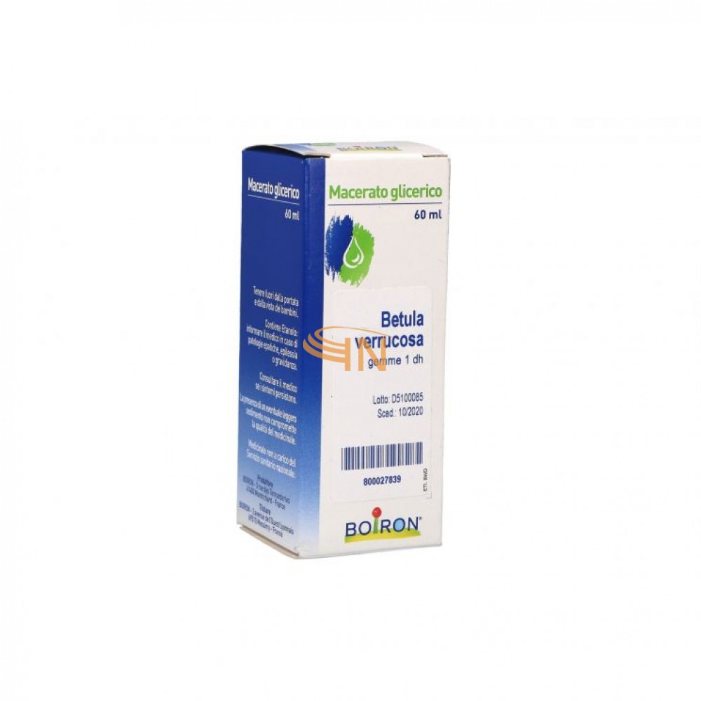 Boiron Betula Verrucosa Gemme 60ml Mg