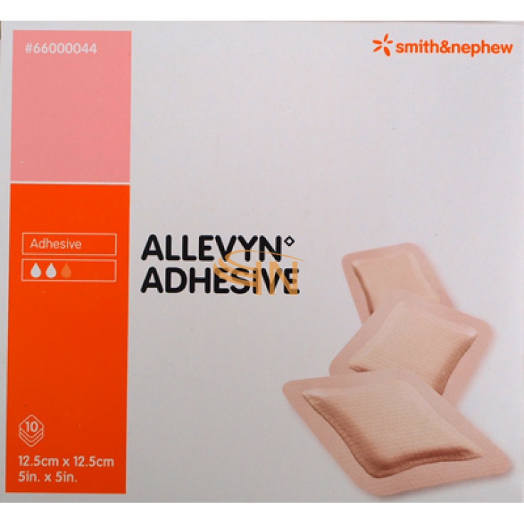 Smith & Nephew Allevyn AG Adhesiv Medicazione 12,5x12,5cm 10 pezzi