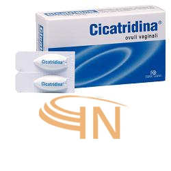 Cicatridina ovuli 10 pezzi