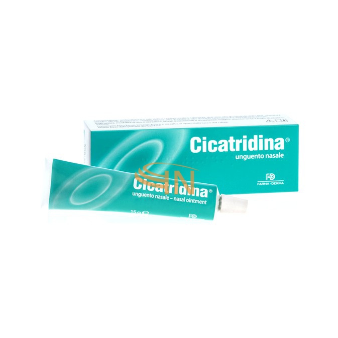 Cicatridina unguento nasale 15 g	