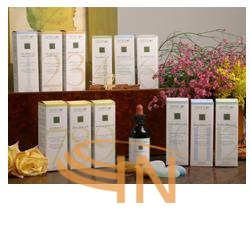 Santiveri Zefirus 11 calma plant stv