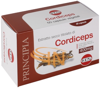 Kos Cordiceps estratto secco 60 capsule