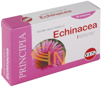 Kos Echinacea estratto secco 60 compresse