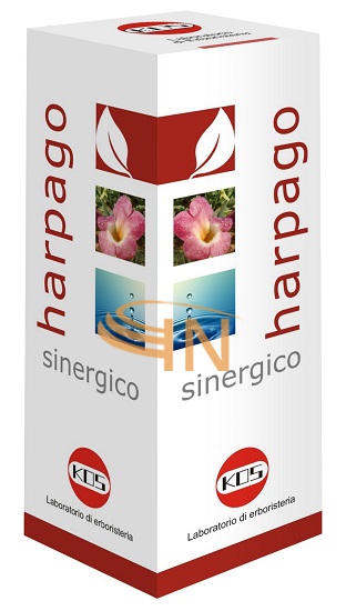Kos Harpago sinergico gocce 100 ml