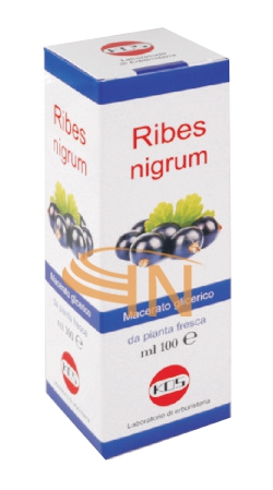 Kos Ribes nigrum 100 ml gocce