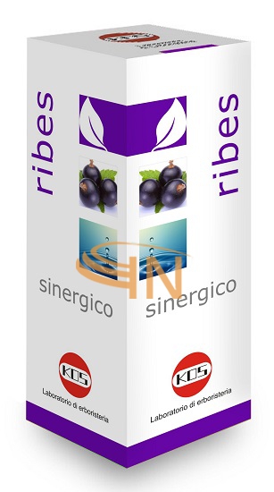 Kos Ribes sinergico gocce 100 ml