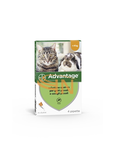 Advantage Soluzione Spot-on 4 Pipette 0,4ml Gatti e Conigli