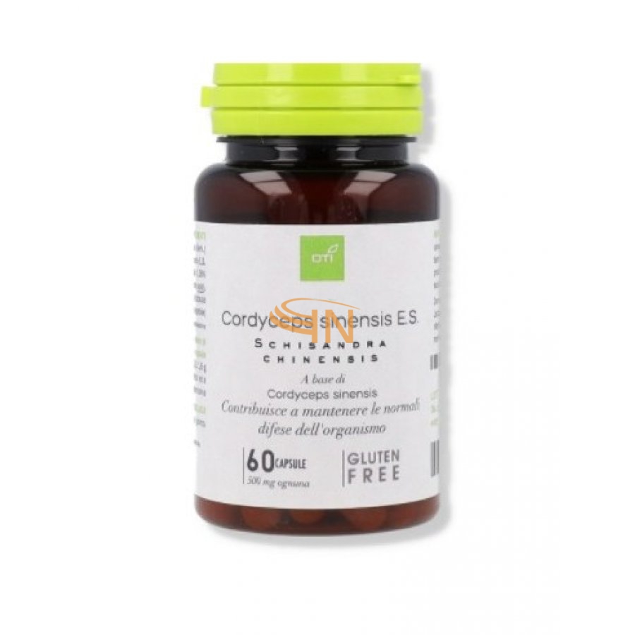 Cordyceps Sinensis 60 capsule