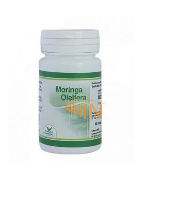 Moringa Oleifera 60 capsule