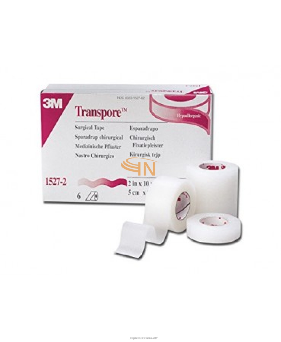 Cerotto Transpore 2,5x500cm Ricarica